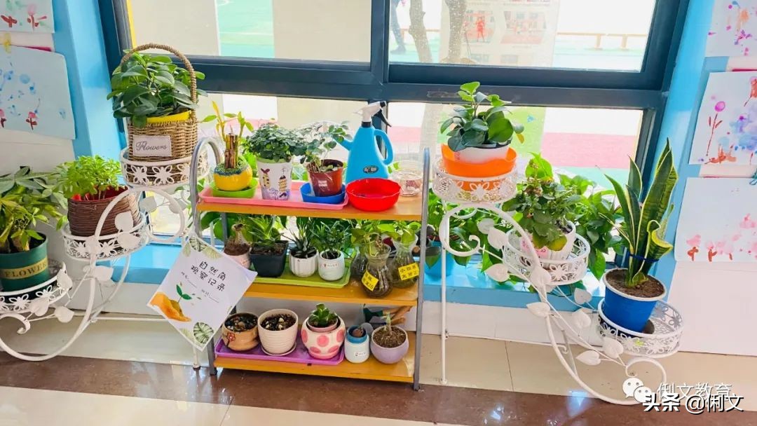 环境创设一年级,幼儿园梦想小学环境创设