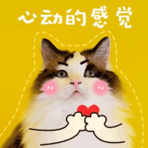 蔻驰迪士尼联名值得买吗,蔻驰迪士尼联名卫衣