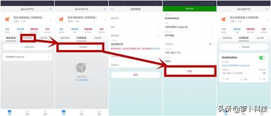 花生壳内网穿透,花生壳盒子内网穿透