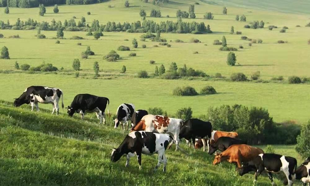 太子乐“挚悦配方奶粉”好不好？都藏在这些细节里……