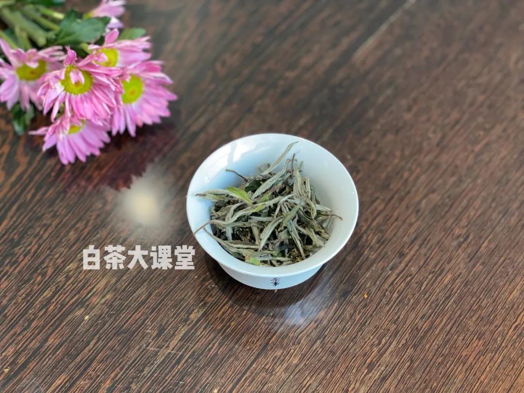 白茶是什么？咱们坐下来，好好聊一聊