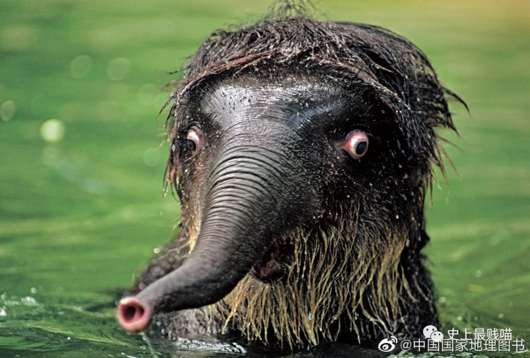 第一次看到把抖m说的这么清新脱俗的...实在太形象了哈哈哈哈哈!