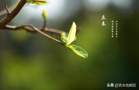 双春兼月结婚好时年什么意思,双春年什么说法