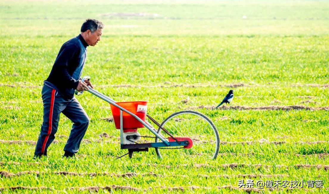 如何区别化肥硫酸铵和氯化铵,如何分辨硝酸铵尿素和碳酸氢铵
