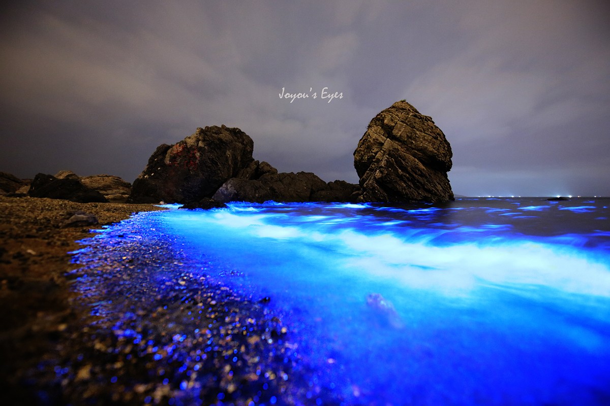 拍摄荧光海滩参数和技巧,夜晚怎么拍荧光海