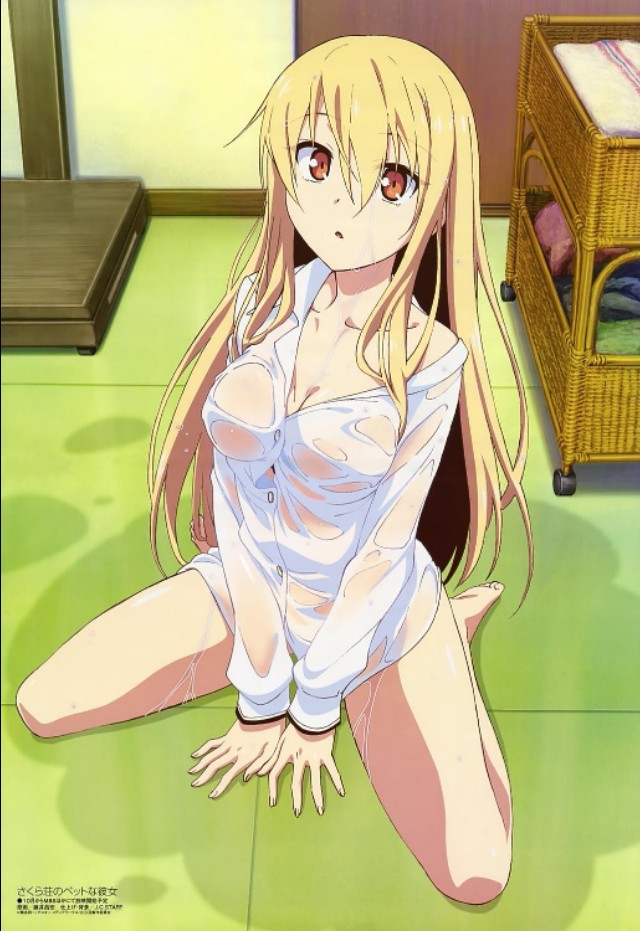 樱花庄的宠物女孩动漫解说,动漫樱花庄的宠物女孩精美图片