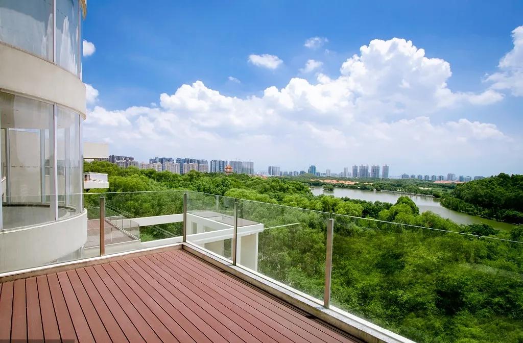 宠爱有家小说,宠爱有家猫粮怎么样