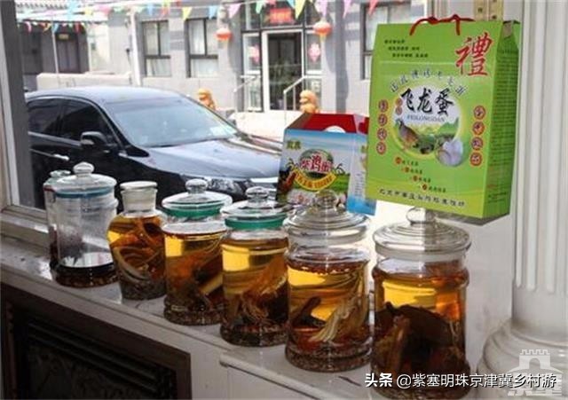 北京周边可以垂钓的农家院,北京钓鱼度假农家院