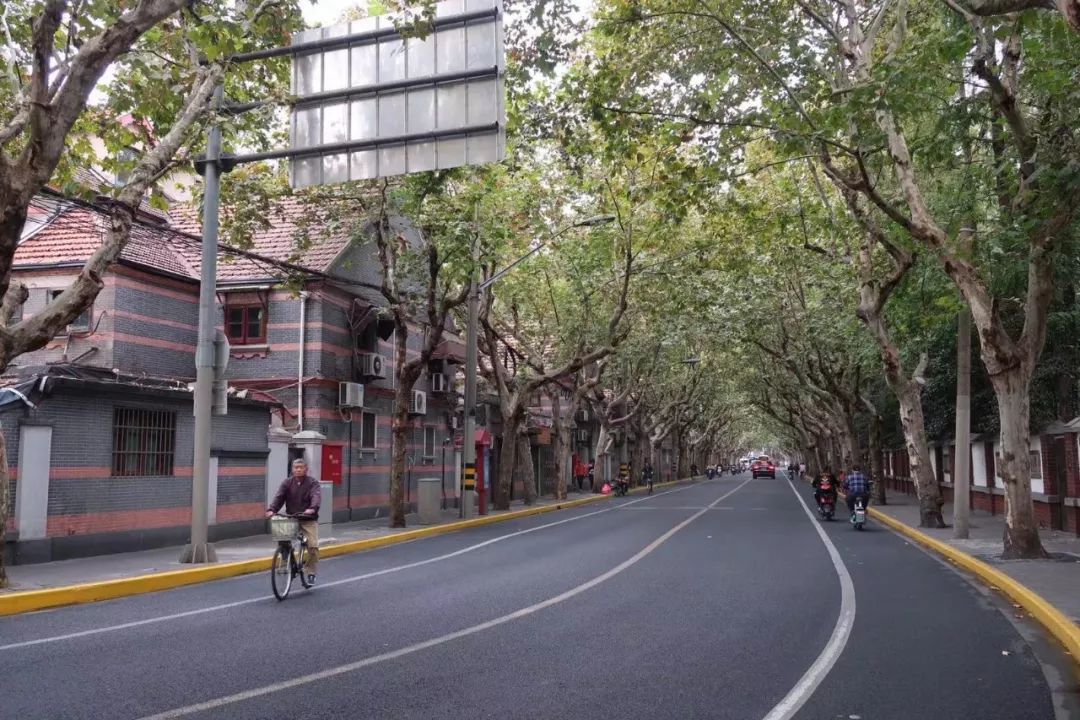 魔都最值得逛的马路,魔都网红马路视频