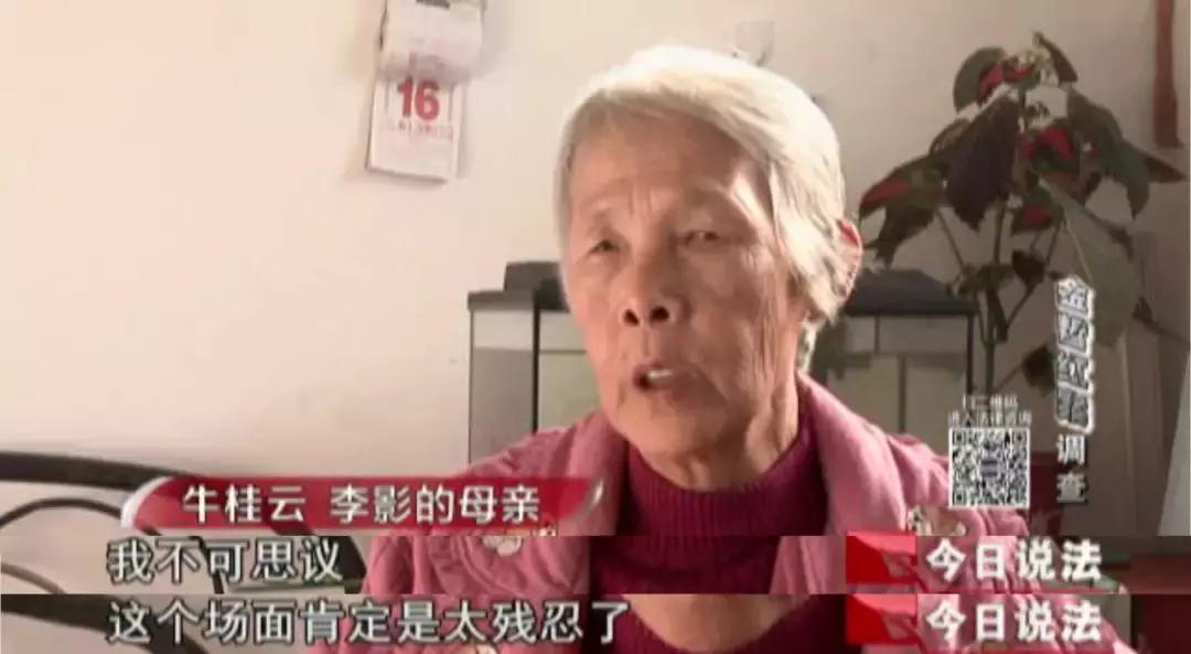 今日说法金哲宏冤案始末,金哲红案最新消息