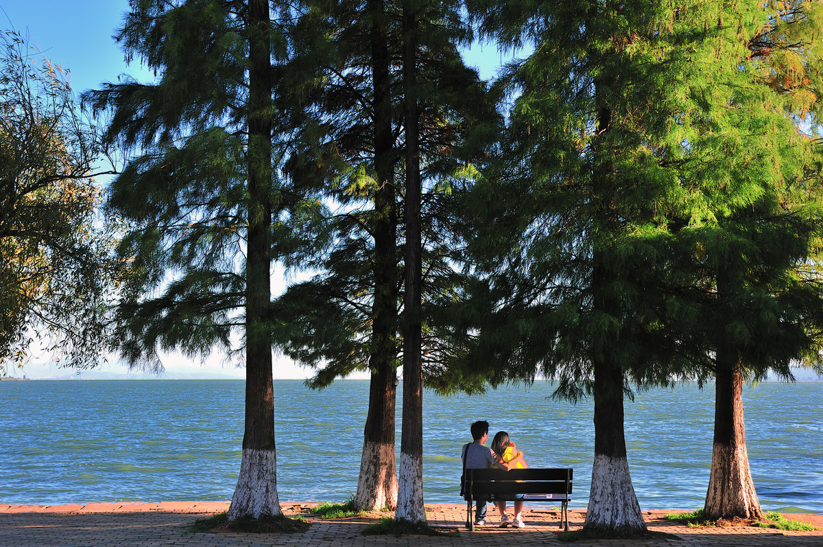 昆明人居住的真实感受,昆明人住哪里最好