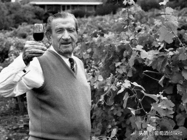 奔富389和407有什么区别?