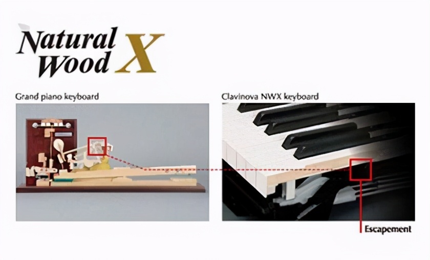 怎么挑选雅马哈电子琴,雅马哈电钢琴怎么选择