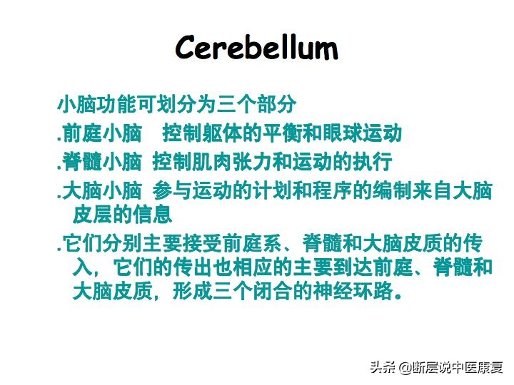 中枢神经系统断层解剖讲解,中枢神经3d解剖动画