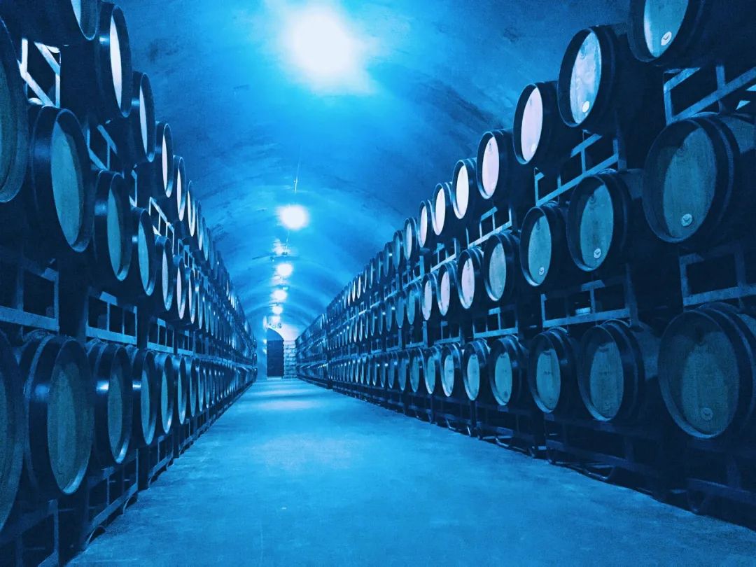 烟台哪里的消费最高,盘点什么烟台最贵