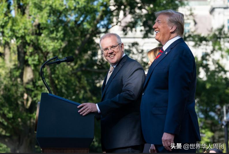 澳洲奶粉现在还能买吗,澳洲奶粉哪个品牌停产