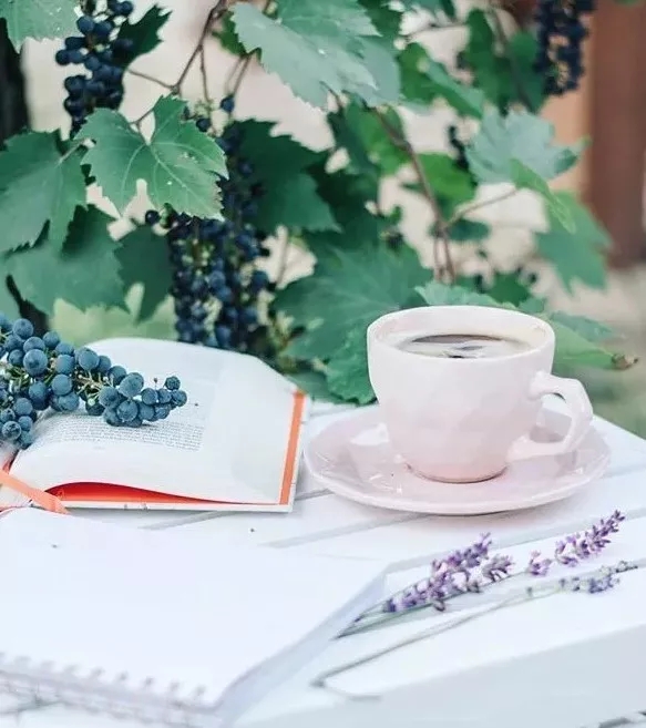 红颜知己蓝颜知己情人的区别,红颜知己蓝颜知己真的是纯友谊吗