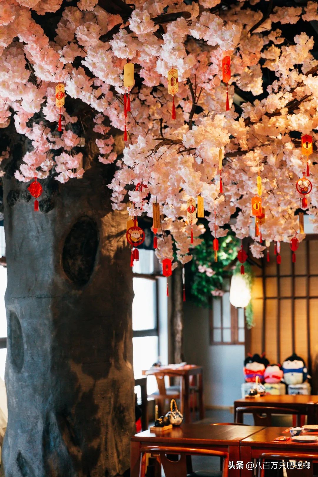 章鱼火锅日式,会动的章鱼海鲜火锅