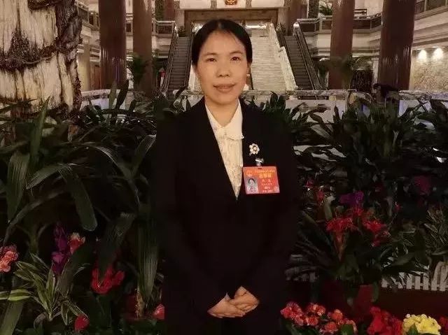 全国*会两**|尽一曲波澜壮阔，从“浙里”驾梦起航