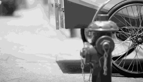 哪个地方的牛奶最好喝,中国哪个省的牛奶最好喝