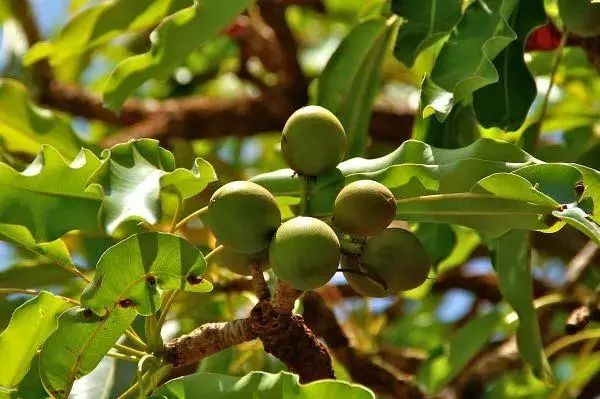 手脚干裂皮肤又厚又痒怎么办,冬天手脚干裂起皮怎么治疗