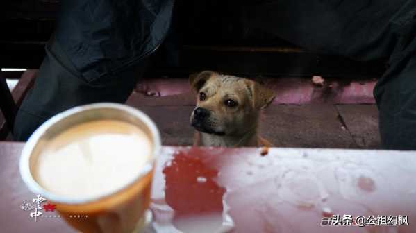 从上海G318到尼泊尔快乐骑行之旅63【梦中的拉萨4】