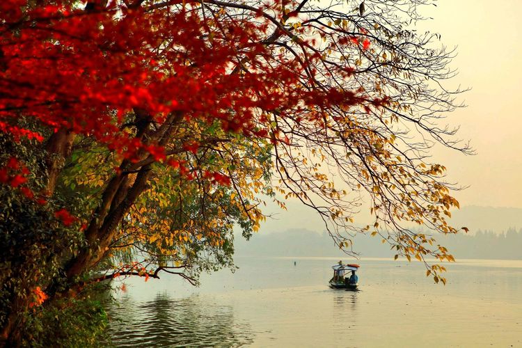 2018年总结表彰暨「感动我的人和事」征文颁奖团拜会