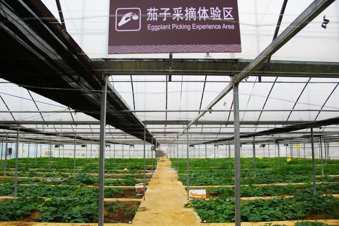 钟山水墨田园山水画廊,钟山水墨画廊要门票吗