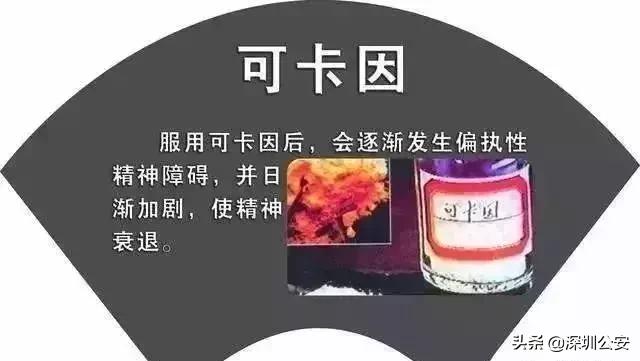知识点有什么,知识点的重要性