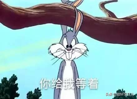 回忆童年的经典动画片有哪些,童年最难忘的动画片