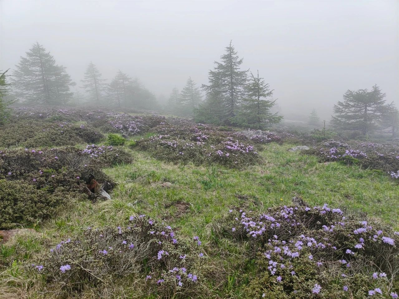 一个人的旅行——九死一生的太白山穿越记(3)