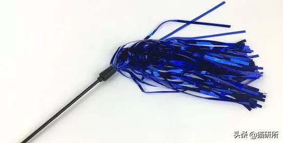 哪些猫咪玩具对小猫有害 (对猫咪有益的玩具)