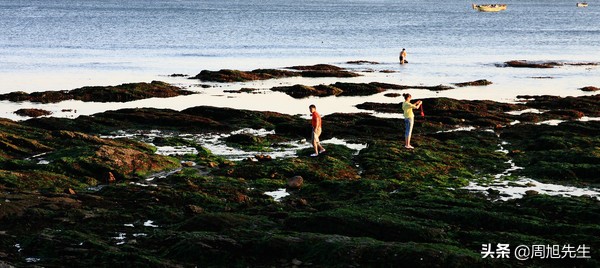 大连滨海路的美景之旅,大连海滨路旅游攻略