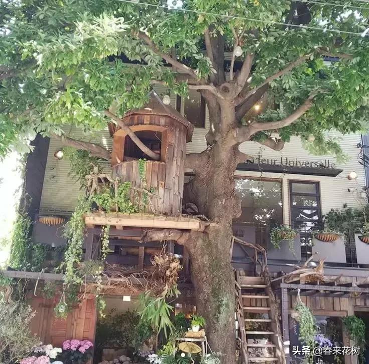 日本东京花店推荐,超美的花店