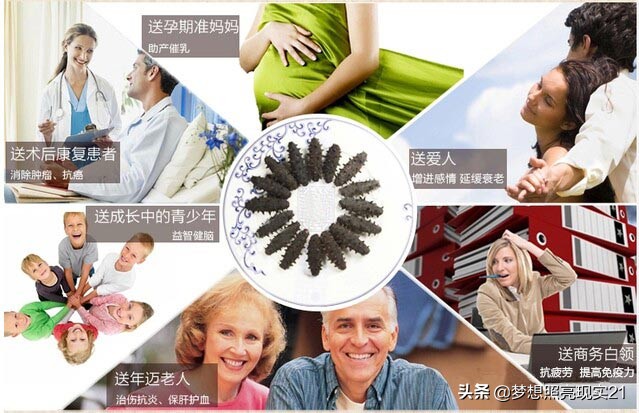 海参内幕深度揭秘99%的人不知道,关于海参的内幕