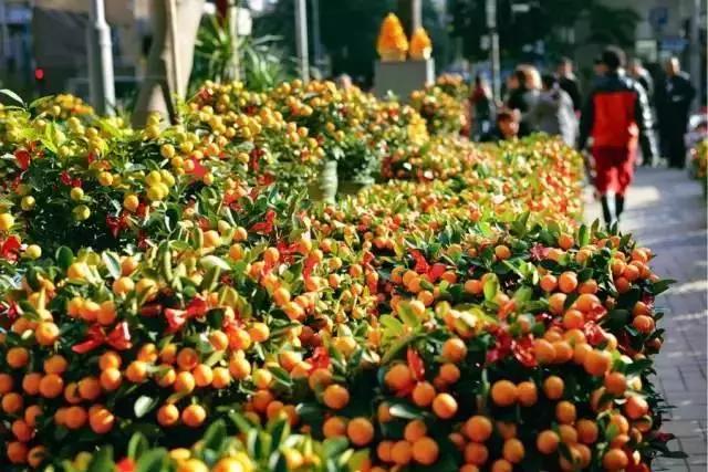 大年初一迎财神准备什么点心,大年初二传统习俗迎财神