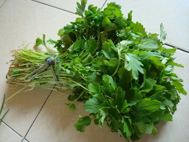 益母草是妇科大咖药，这样用效果加倍，但这4类女性尽量不要使用