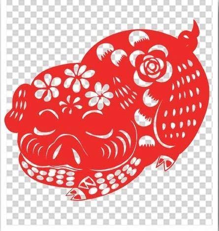 从丁亥到己亥—武昌水果湖中学六六届高三（1）班同学聚会本命年