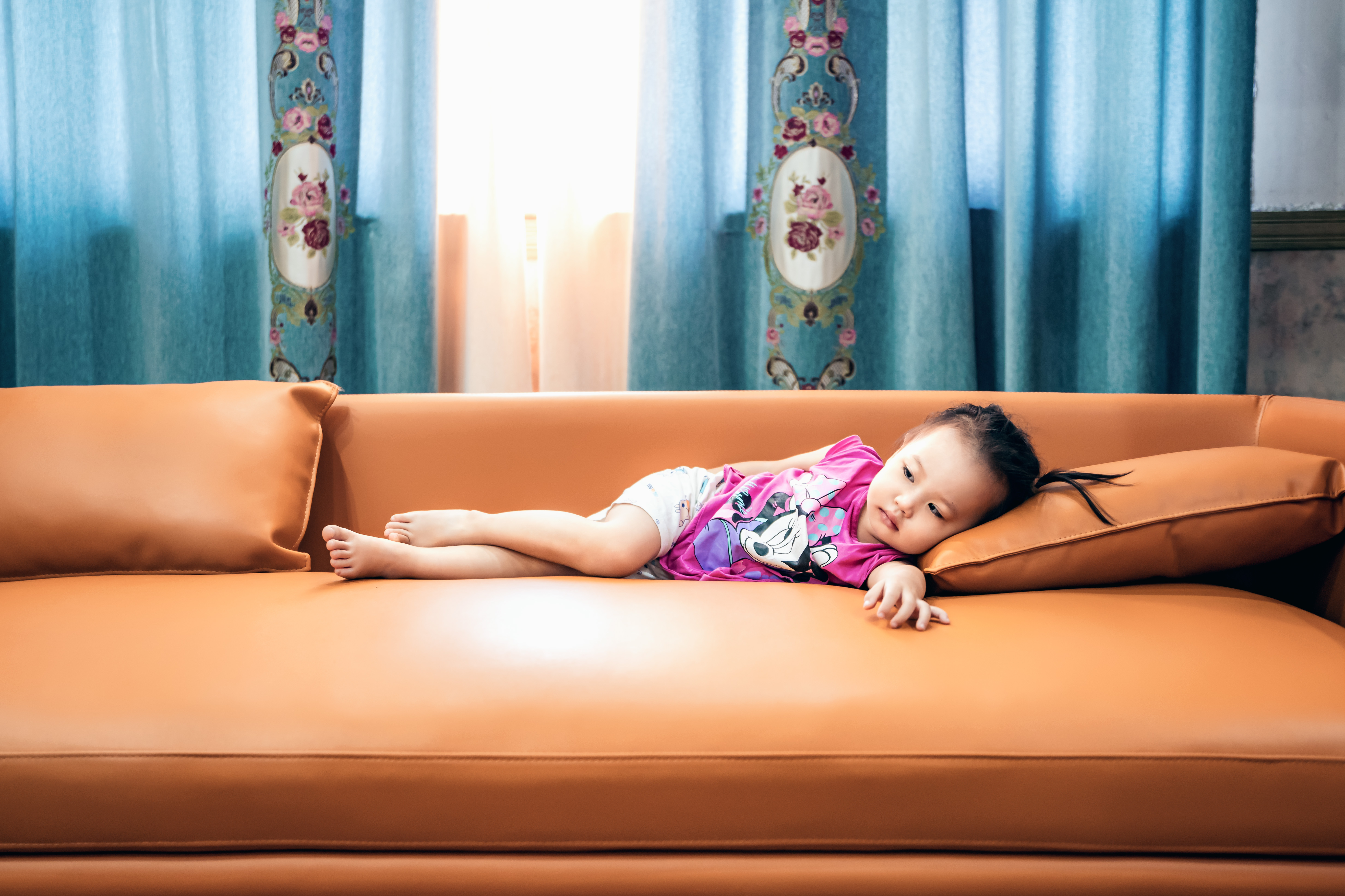 智能投影幕布,微投影坚果