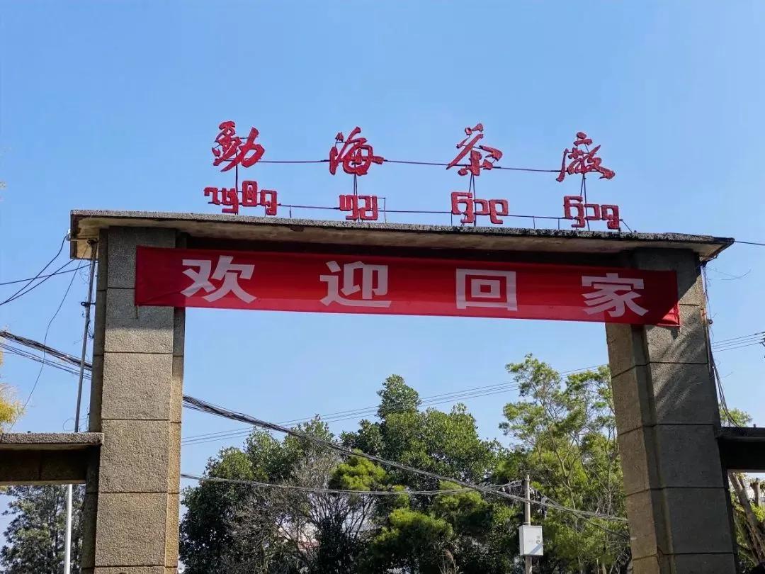 普洱茶可以配什么一起喝,你们配喝普洱茶吗