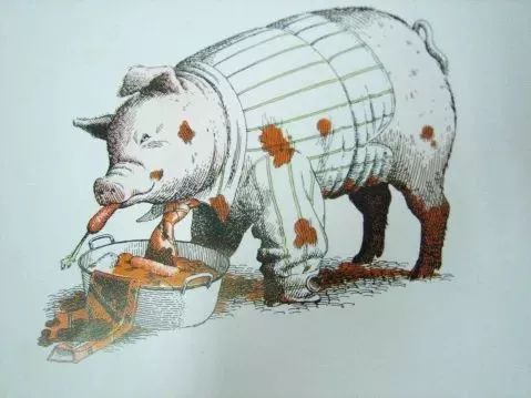 绘本推荐|《动物绝对不应该穿衣服》超级搞笑又有创意的绘本