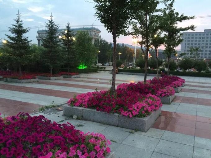 思念家乡青藏高原,思念家乡的嫩江