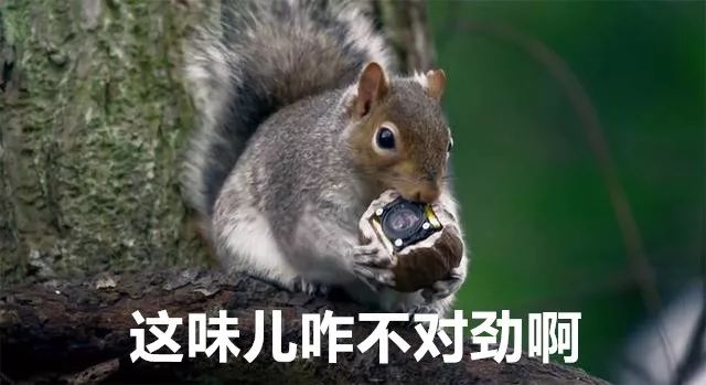 bbc纪录片揭露残忍人类对待动物,bbc动物纪录片造假事件