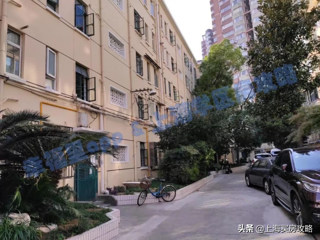 徐汇四大公办小学对比,上海汇师小学和分校