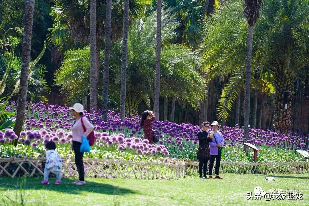 100张照片一百种幸福,100张图片带你去云南