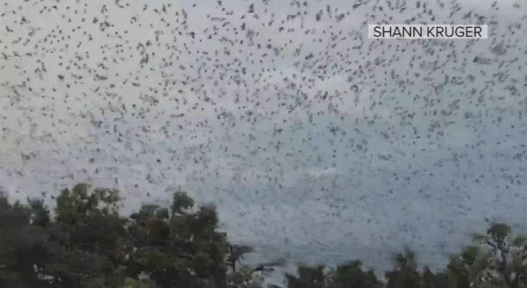 15岁怀孕，她被骗吃下*药炸**，一尸两命：有些人，这辈子不配为人