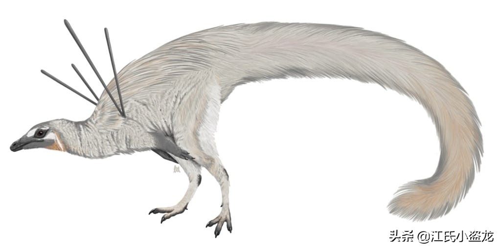 古生物时代有多少种恐龙,人类已经发现了多少恐龙种类