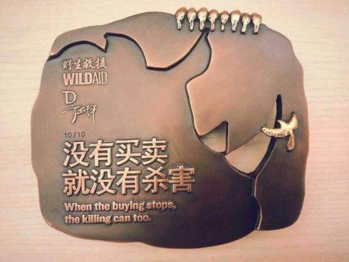 水中大熊猫桃花水母南通,成都发现水中大熊猫桃花水母