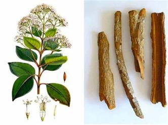 磷酸氯喹治疗新冠肺炎患者剂量,磷酸氯喹治疗新冠肺炎