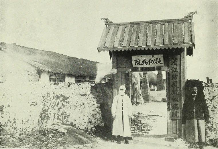 板蓝根2024年以后的前景如何,板蓝根将迎来转折点